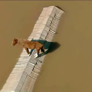 فيضانات البرازيل: 160 ألف نازح وبلديات دمرت بالكامل
