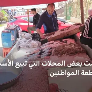 بعد ارتفاع أسعار الأسماك.. حملات مقاطعة بمدينة بورسعيد | بي بي سي نيوز عربي