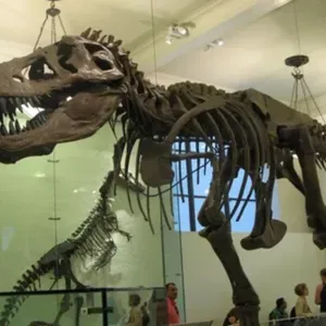"الديناصور" الهندي.. هل يسرح في الطبيعة حقا أم في مخيلة البشر؟