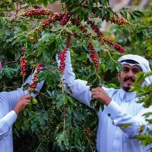 "ريف السعودية" ينظم رحلة ميدانية لتعزيز جودة البن واستكمال تصنيف أشجاره