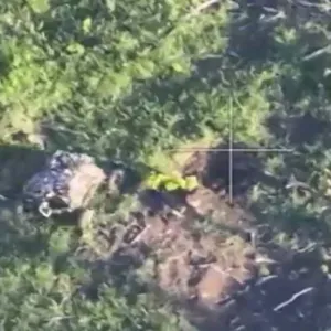 الجيش الروسي يستخدم روبوتات "العقرب" لتدمير مخابئ القوات الأوكرانية (فيديو)