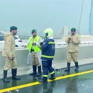 بعد منخفض الهدير.. الإمارات تؤكد متابعة جهود التعافي بعد انتهاء الحالة الجوية