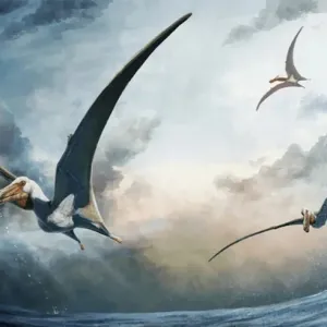 استكشاف أسرار التيروصور.. علماء يستخرجون حفريات "شبح البحر" الطائر