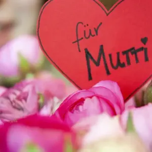 في عيد "نبع الحنان".. الأمهات ينعشن سوق الورود في ألمانيا!