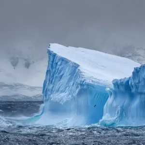 أكبر جبل جليدي في العالم بدأ يتحرك.. وقلق بالغ في أوساط العلماء