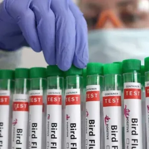 وباء جديد قادم.. تسجيل أول وفاة بشرية بمتحور من "إنفلونزا الطيور"