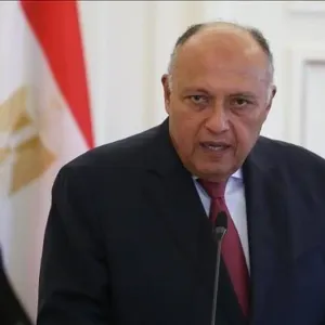 وزير خارجية مصر: اتفاقية السلام مع "إسرائيل" خيار استراتيجي