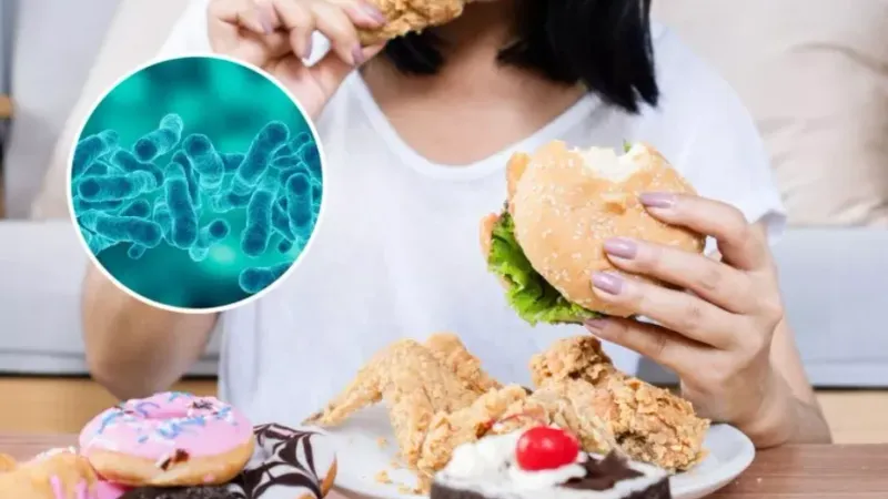 باحثون: إدمان الطعام مرتبط ببكتيريا الأمعاء ويسبب السمنة