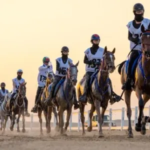 سباق السيدات يدشن مهرجان أبوظبي للقدرة
