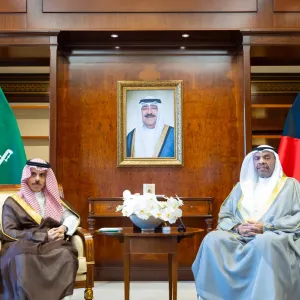 وزير الخارجية يبحث مع نظيره الكويتي أهمية تعزيز مسيرة العمل المشترك بين البلدين
