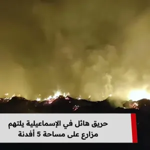 حريق هائل في الإسماعيلية يلتهم مزارع على مساحة 5 أفدنة