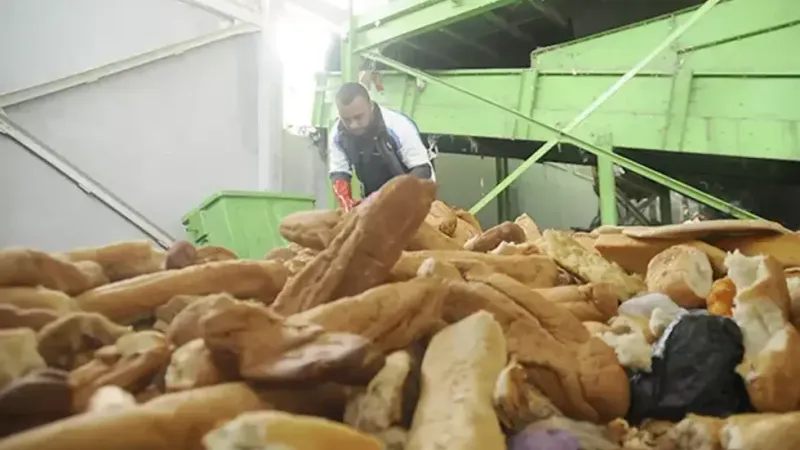 تبذير الخبز يكلف الخزينة 320 مليون دولار سنويا