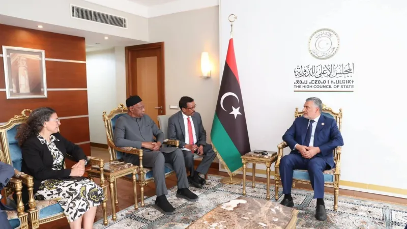 «الدولة» الليبي يبحث مع نائبة المبعوث الأممي أسباب الأزمة السياسية