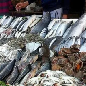 تراجع جديد في أسعار الأسماك والجمبري اليوم الاثنين 22 أبريل 2024