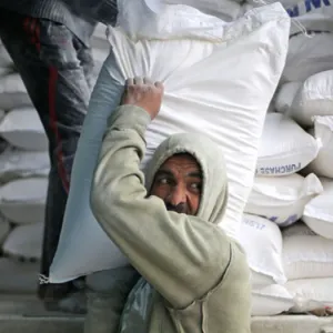 يسد 40% من الاستيراد.. العراق ينتج 3 الاف طن يوميًا من طحين الصفر