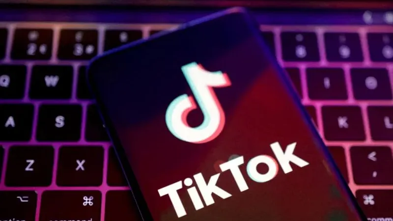 مطالبات في لبنان بحجب تطبيق تيك توك إثر استخدامه من عصابة متورطة بشبهات جرائم جنسية