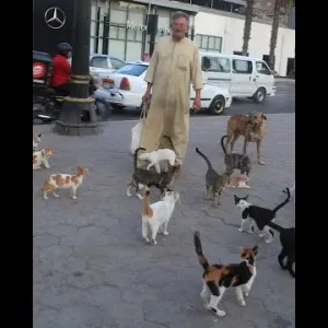 «عم صلاح» يُبكي السوشيال ميديا برحيله المؤثر.. «قضى حياته في إطعام القطط والكلاب»