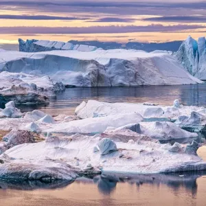 «فيروسات عملاقة» قد تشكل حلاً مضاداً لذوبان الجليد القطبي
