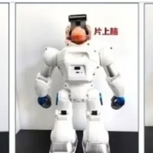 الأول من نوعه.. ابتكار روبوت صيني «يعمل بدماغ بشري»