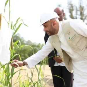 "ريف السعودية": الميكنة الزراعية أسهمت في خفض تكاليف حصاد المحاصيل البعلية بنسبة (90%)