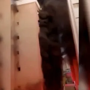 41 وفاة وعشرات الإصابات في حريق هائل بالكويت