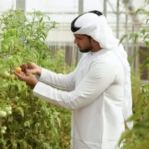 إصدار قرار بشأن تنظيم مزارع الإنتاج النباتي لصغار المزارعين في أبوظبي