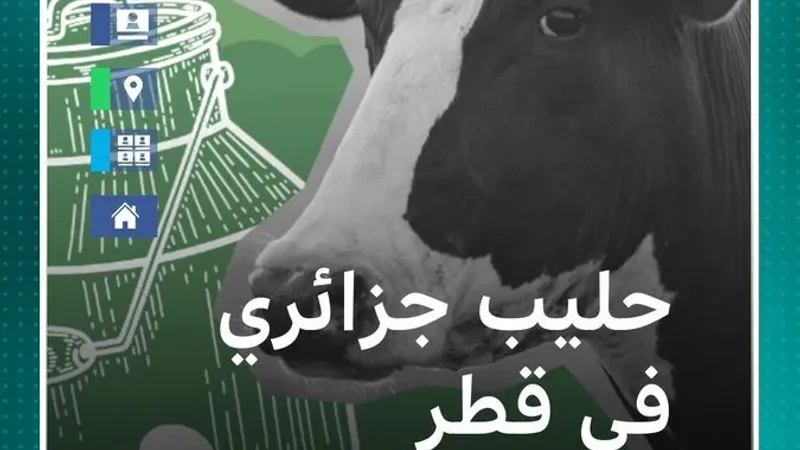 3.5 مليار دولار.. ما تفاصيل الاستثمارات القطرية في الحليب الجزائري؟  #بي_بي_سي_ترندينغ