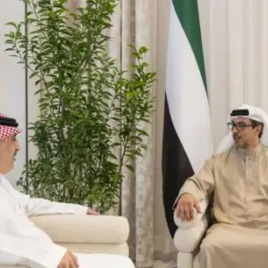 منصور بن زايد يبحث مع السفير السعودي تعزيز التعاون بين البلدين
