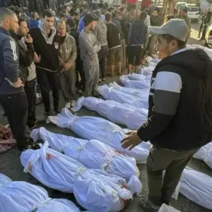 ارتفاع عدد شهداء غزة إلى 34654 شهيدا