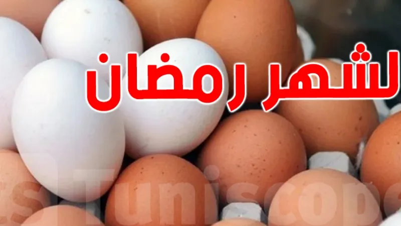 تونس: توصيات وزير الفلاحة بخصوص مخزون البيض