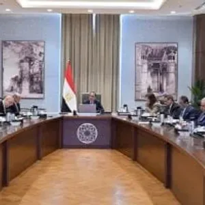 المصرية اللبنانية" تطالب الحكومة الجديدة بتوطين الصناعة وحل مشاكل المستثمرين