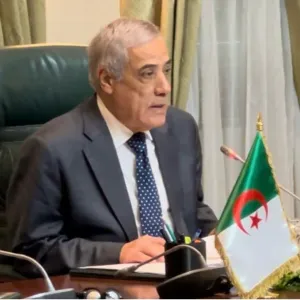 الوزير الأول يترأس اجتماعًا للحكومة  #الجزائر  #حكومة