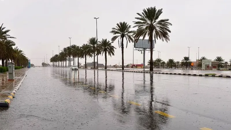 دراسة لمركز الأرصاد: وتيرة هطول الأمطار ستزداد في جميع أنحاء المملكة
