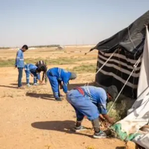 أمانة القصيم تزيل 63 مخيمًا وحظائر مخالفة في مواقع غير مصرحة
