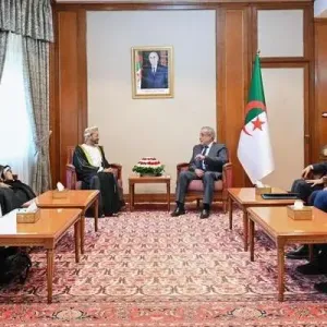 وزير الخارجية يلتقي مسؤولًا جزائريًا