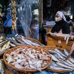 مصر.. صحة أسيوط تحذر المواطنين من تناول "سمكة الأرنب"