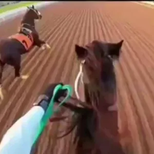 شاهد.. كيف سيطر "فارس " على حصان خرج عن السيطرة قبل بدء السباق 
