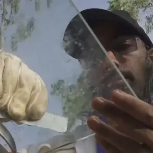 فيديو: لأنه مربح أكثر.. النحالون في كينيا يلجأون إلى جمع سم النحل بدلًا من عسله