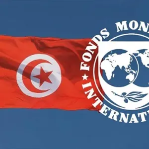 معز السوسي: ”تونس ضمن القائمة السوداء لصندوق النقد الدولي..”