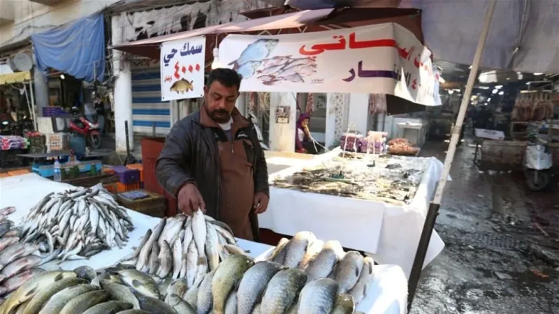 على طريقة العقارات.. ارتفاع الأسماك في العراق قد لا يعود للانخفاض قريبًا