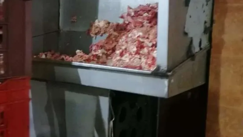 «تموين القاهرة»: ضبط 3.5 طن دجاج وبط مجهول المصدر في ثلاجة ومطعم شهير