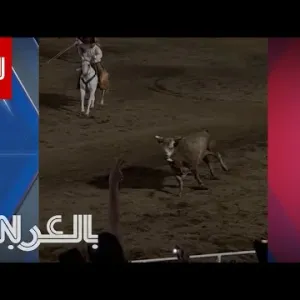ثور هائج يكسر سياج حلبة مسابقة ويقفز بين الجمهور.. شاهد ما حدث