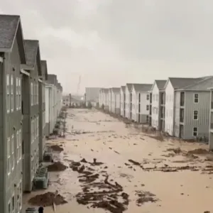 ارتفاع حصيلة ضحايا عاصفة هيوستن