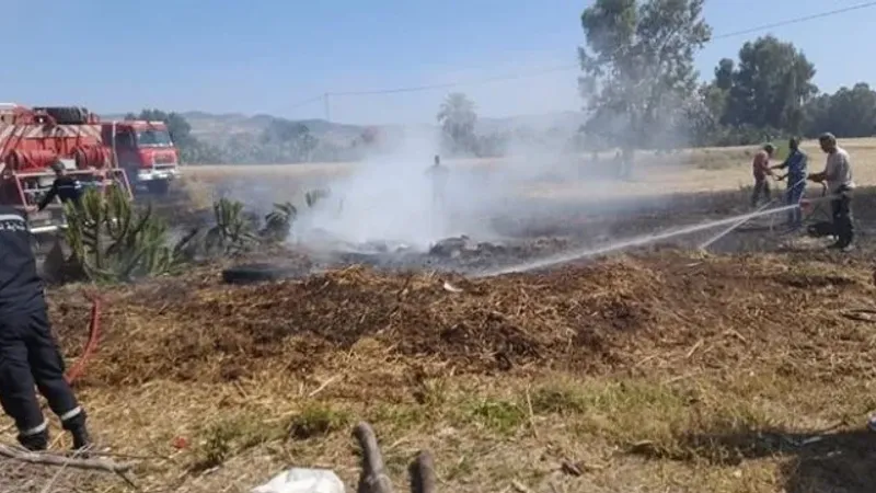 السيطرة على حريق نشب في أحد حقول القمح بجندوبة