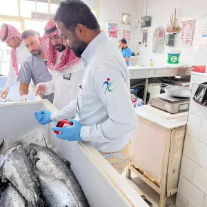 مصادرة وإتلاف أكثر 67 ألف كيلوجرام من الأسماك الفاسدة في الأحساء