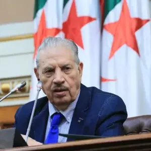 "الجزائر نجحت في حماية التنوع الثقافي من استغلاله لزرع الفتنة"