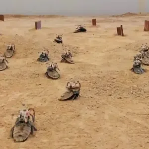 "جيش" من صراصير السايبورغ في الصحراء للتدرب على مهام الإنقاذ! (فيديو)