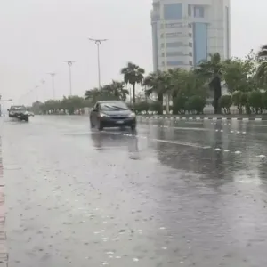 محلل طقس: أمطار غزيرة وتساقط حبات البرد على الرياض والقصيم والشرقية