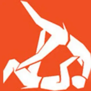 البطولة العربية للمصارعة - تونس ممثلة ب13 مصارعا ومصارعة