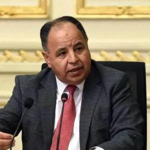 وزير المالية المصري: دعم المواد البترولية ضد مصلحة الدولة